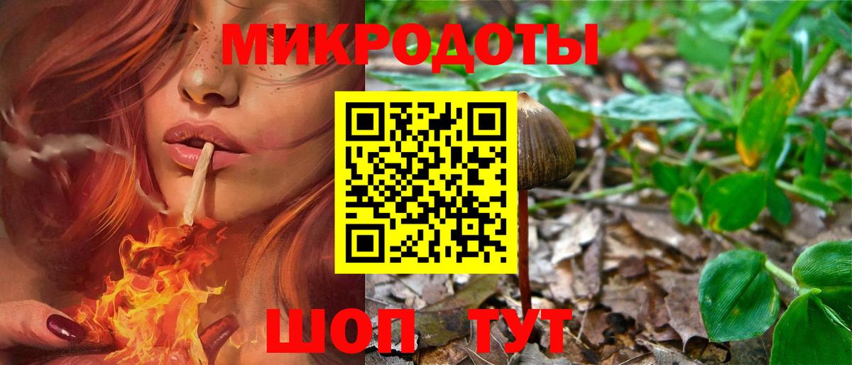 Галлюциногенные грибы Psilocybine cubensis  Вход с VPN  Псилоцибиновые грибы мицелий  Североуральск 