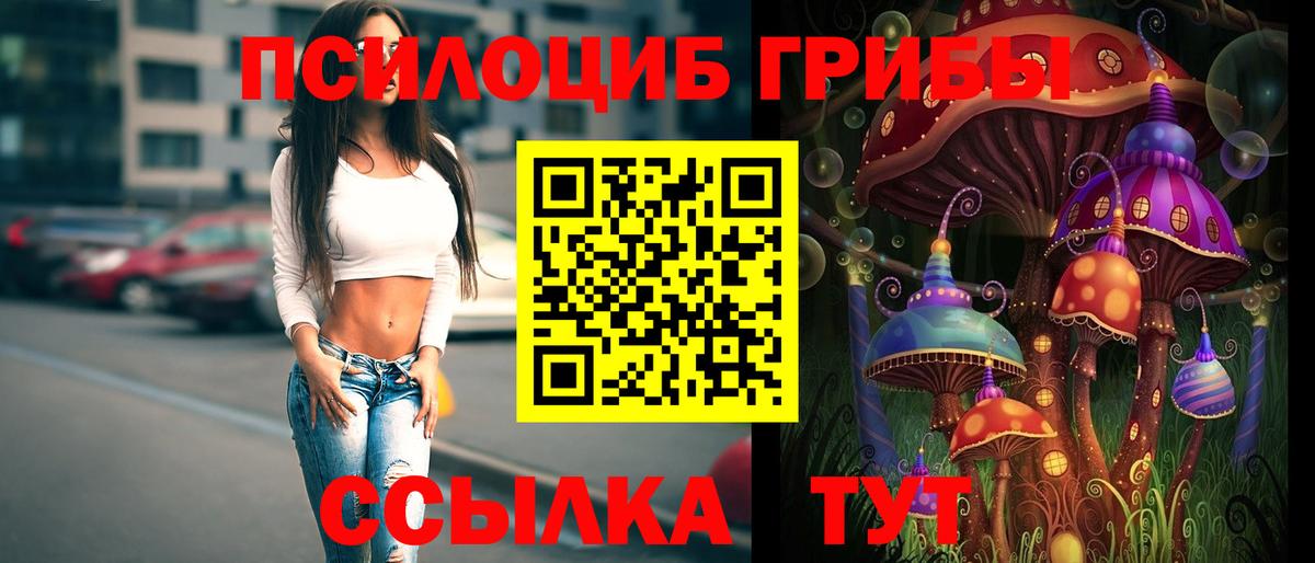 Псилоцибиновые грибы Cubensis Североуральск